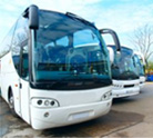 Busses and Coaches